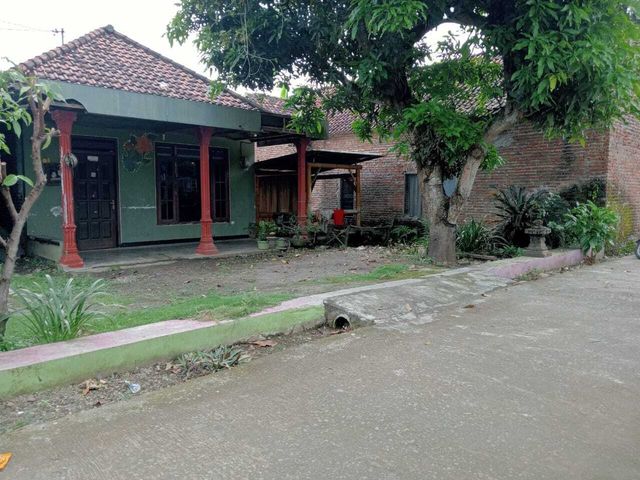 place photo 10