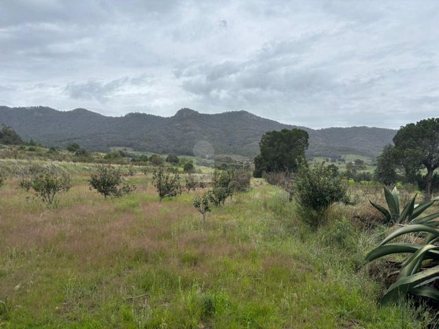 place photo 33