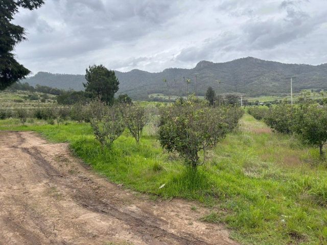 place photo 39