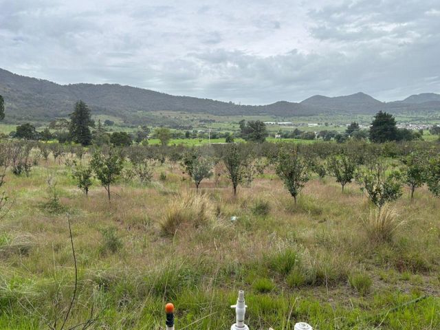 place photo 36