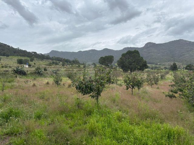 place photo 32