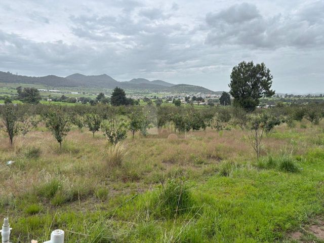 place photo 37
