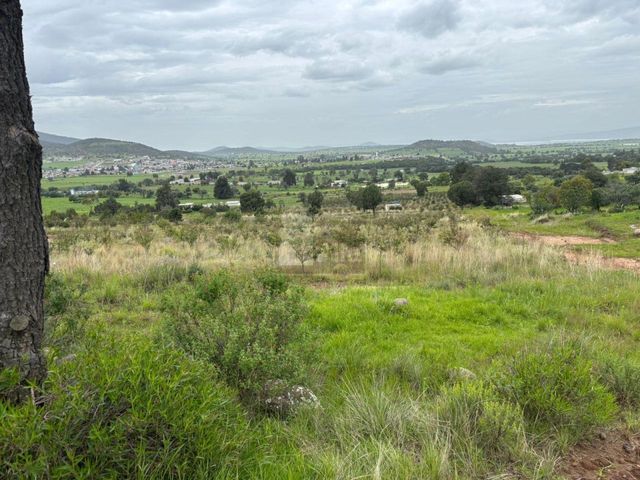 place photo 38