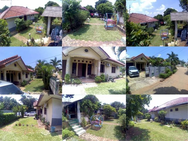 place photo 8