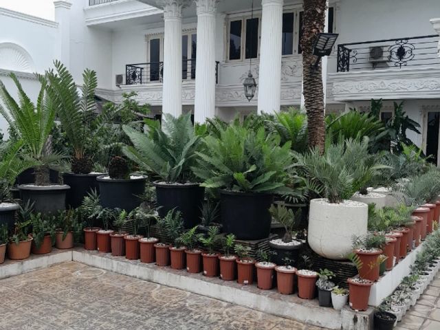 place photo 9