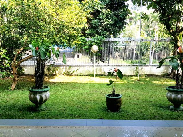 place photo 16