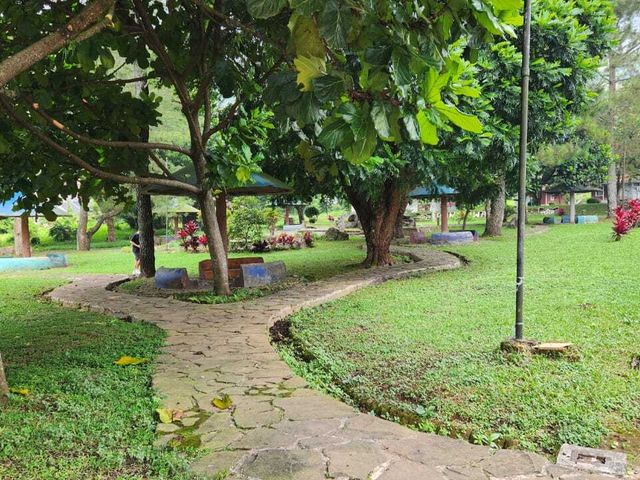 place photo 12