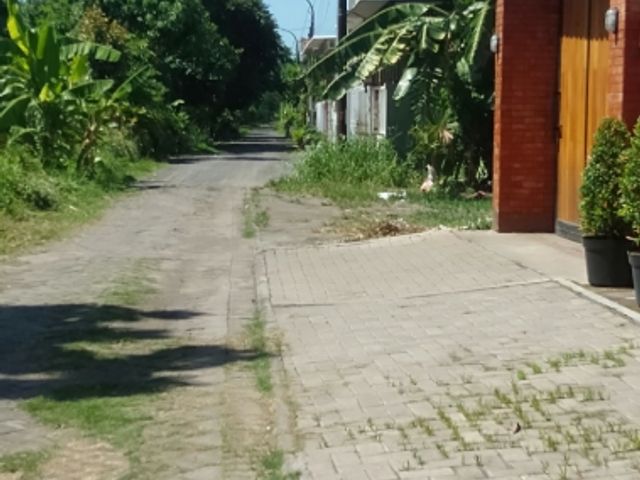 place photo 12