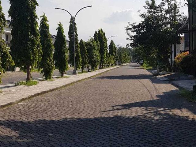 place photo 15