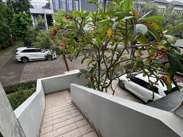 place photo 26