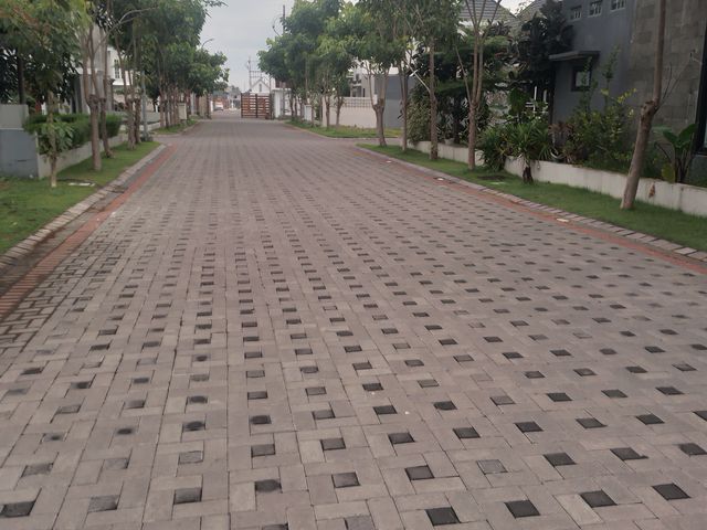place photo 20