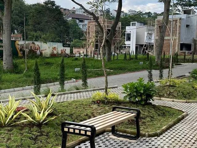place photo 17