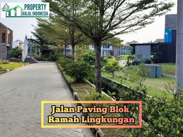 place photo 16
