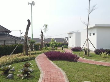 place photo 15