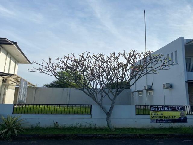 place photo 24