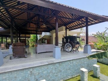 place photo 43