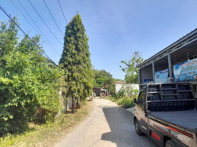 place photo 5
