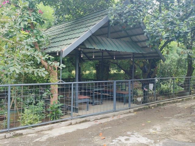 place photo 24