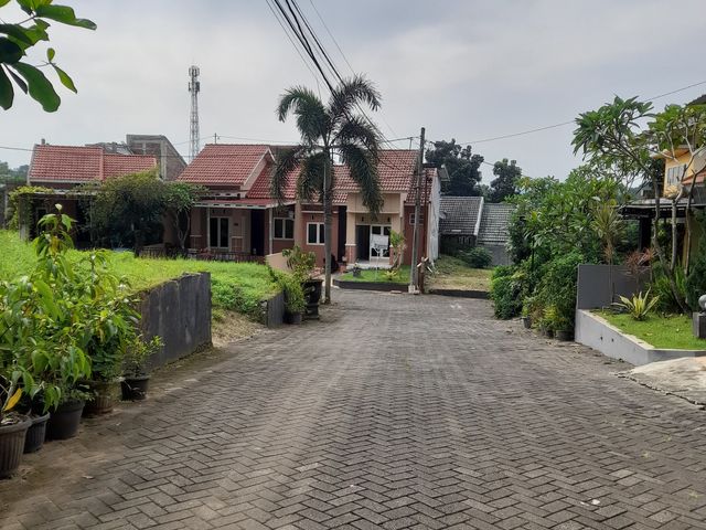 place photo 20