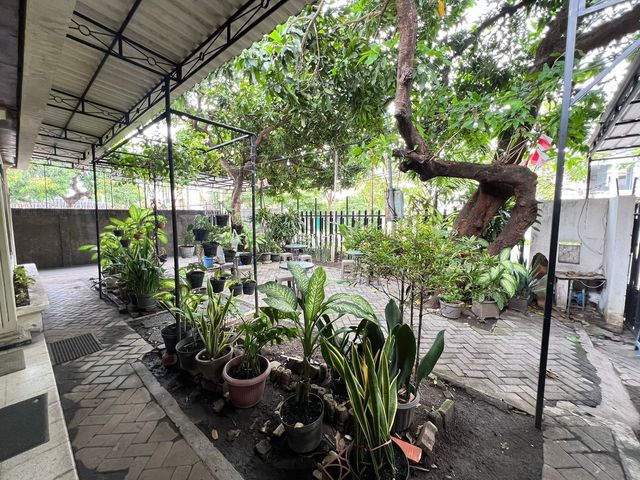 place photo 13