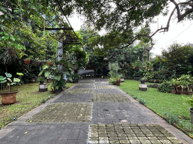 place photo 32