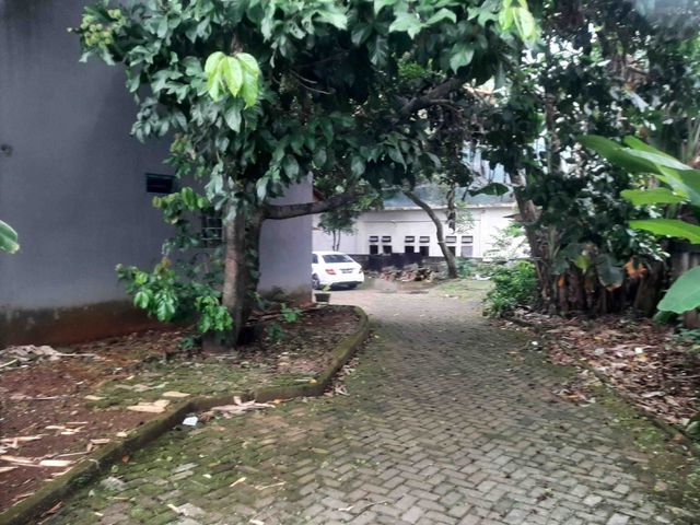 place photo 18
