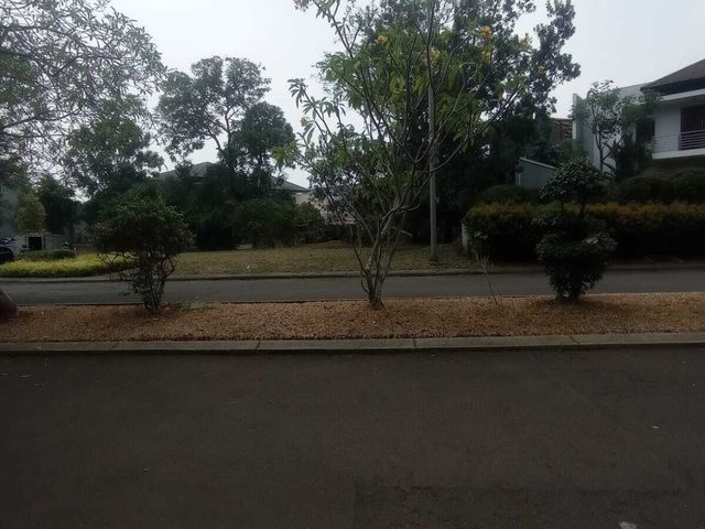 place photo 15