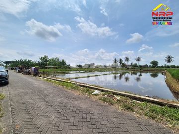 Sapeken, Sumenep