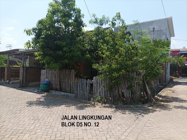place photo 15
