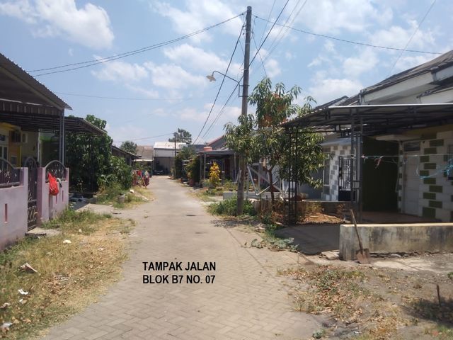 place photo 18