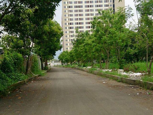 place photo 3