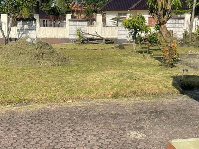 place photo 14