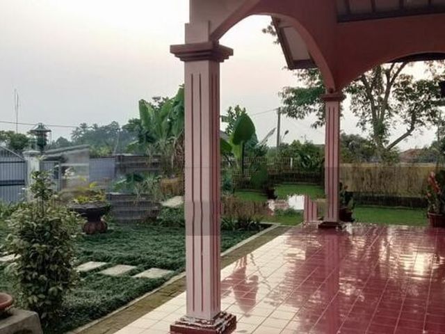 place photo 15