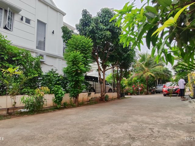 place photo 35