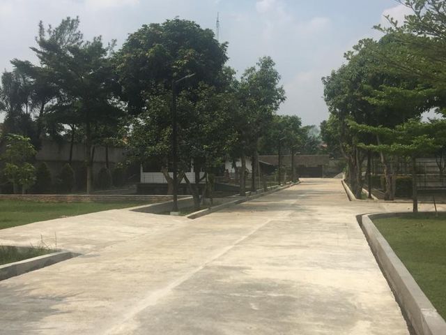 place photo 7