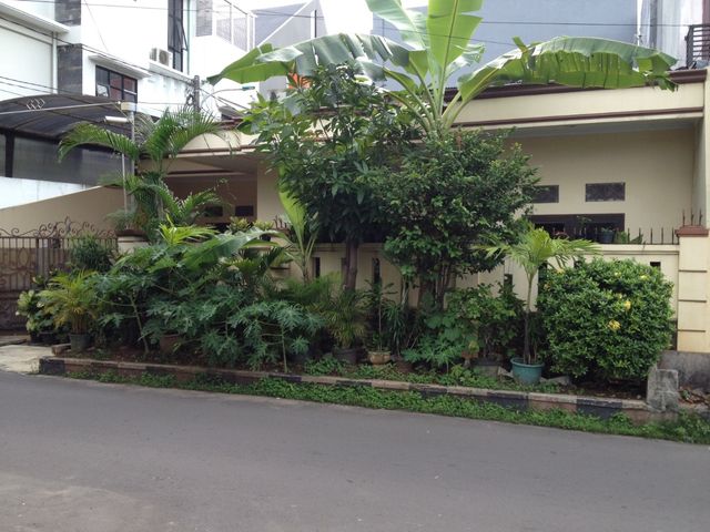 place photo 10