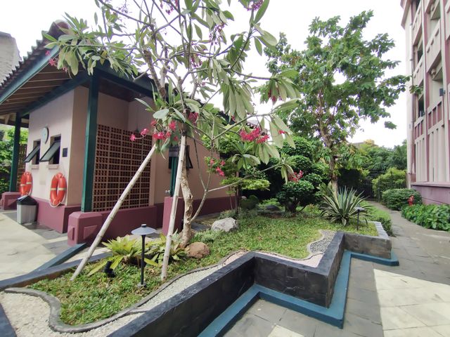 place photo 16