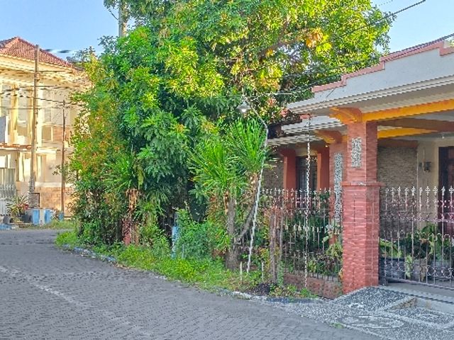 place photo 12