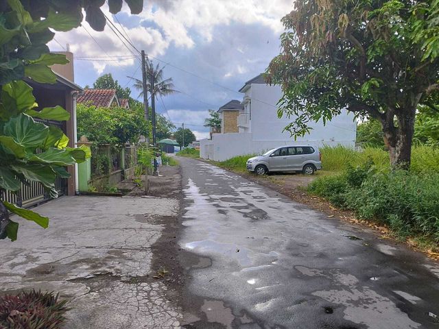 place photo 9