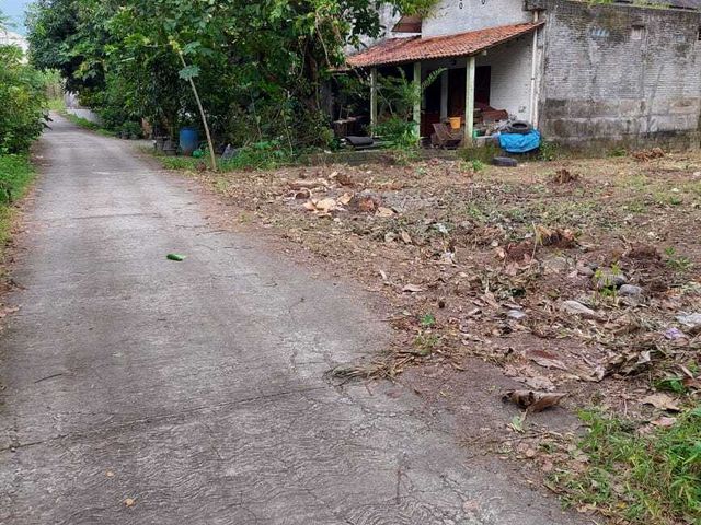 place photo 6