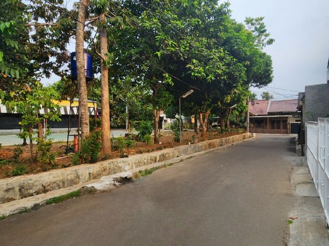 place photo 15