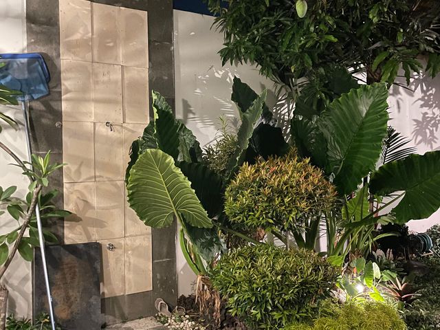 place photo 38