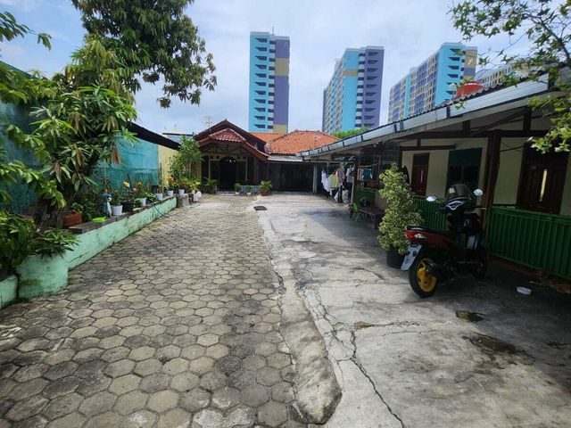 place photo 19