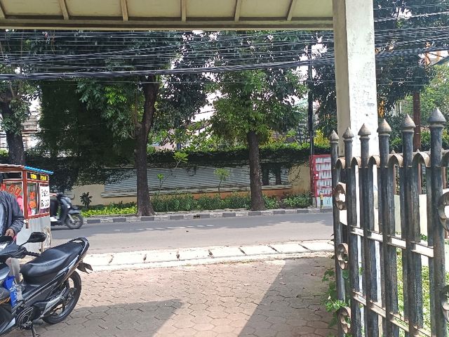 place photo 17