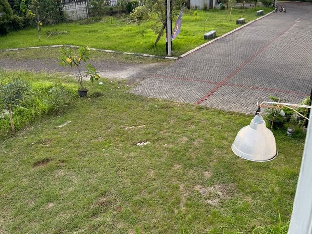 place photo 5