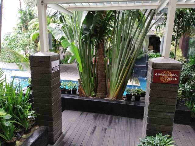 place photo 15