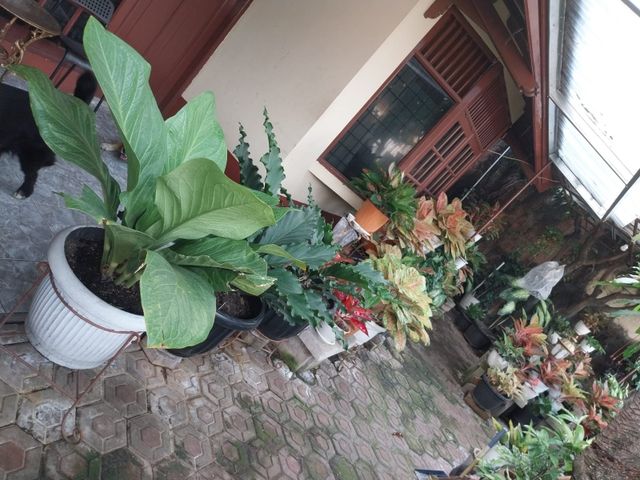 place photo 42