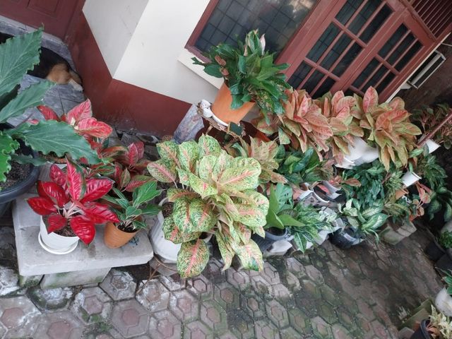 place photo 43