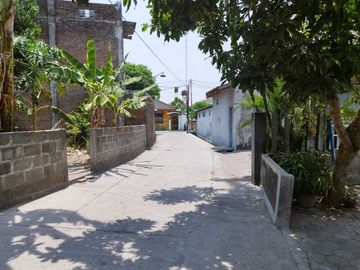 place photo 3