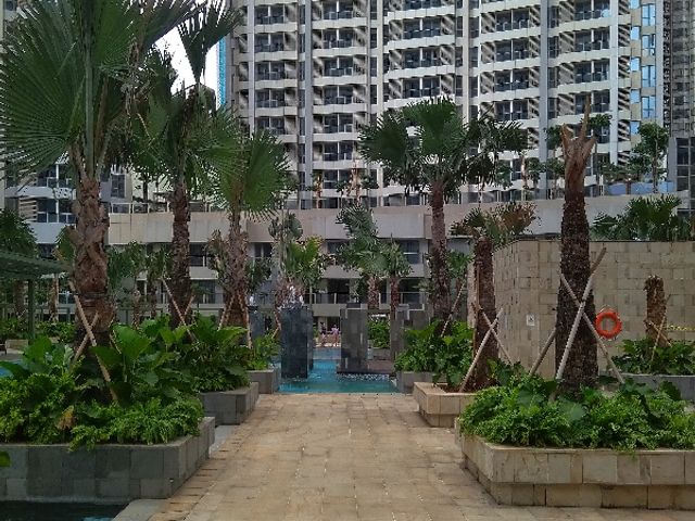 place photo 17